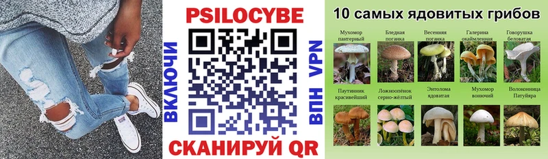 Галлюциногенные грибы прущие грибы  магазин    Камень-на-Оби 